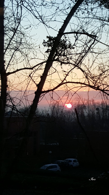 Surement une belle journée !!!