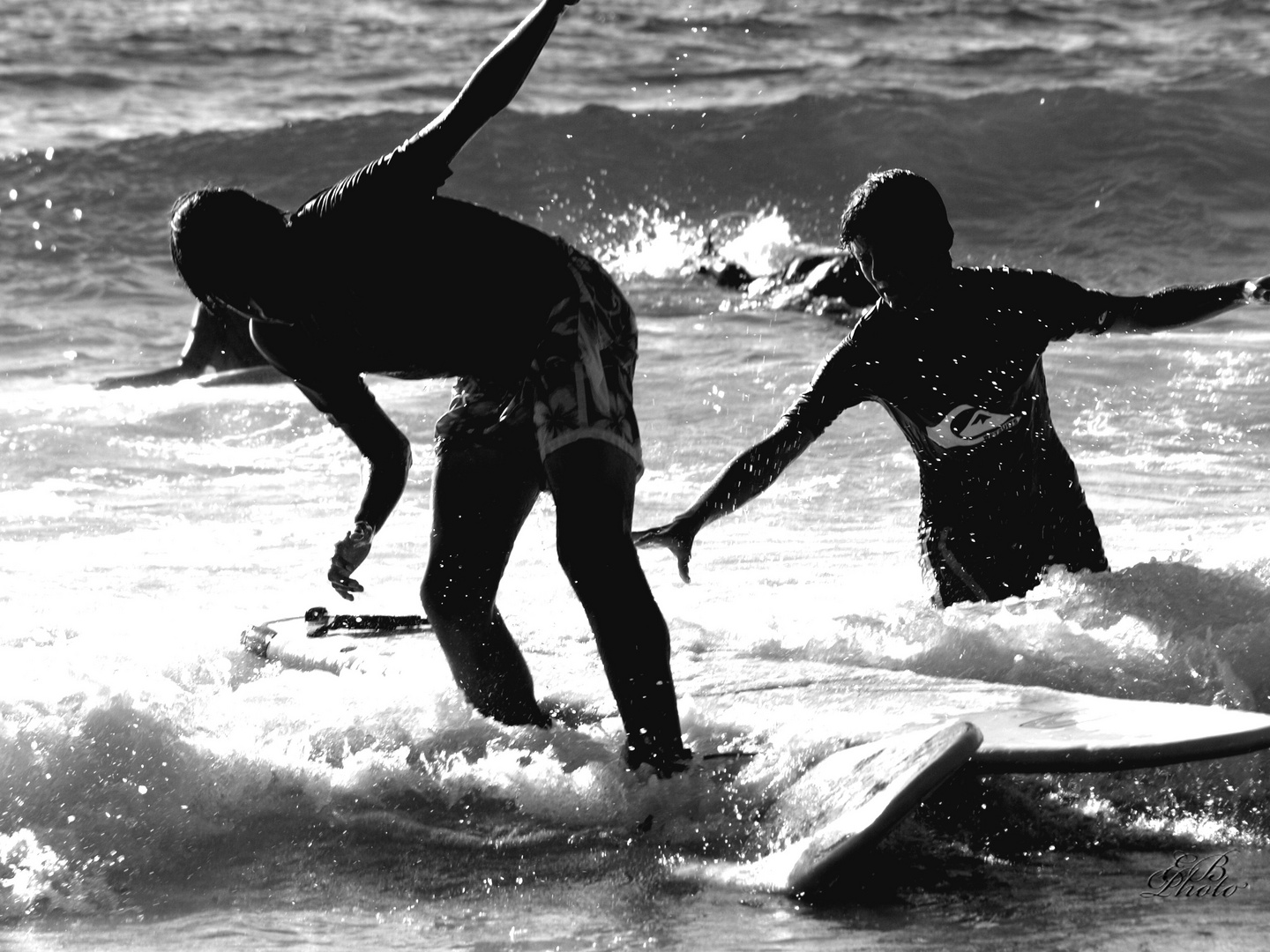 Surf