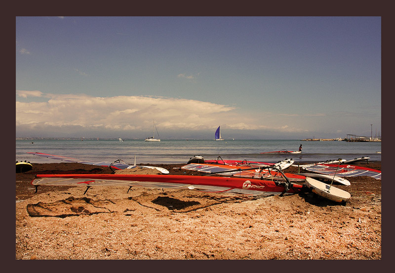 Surf ed alghe ( poseidonia )