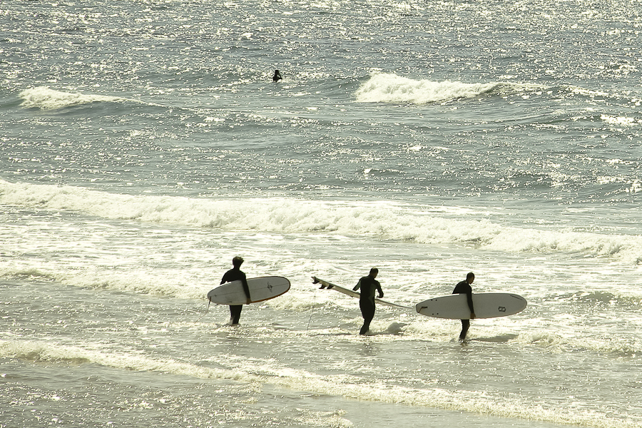 Surf Feelings French Atlantic Biarritz