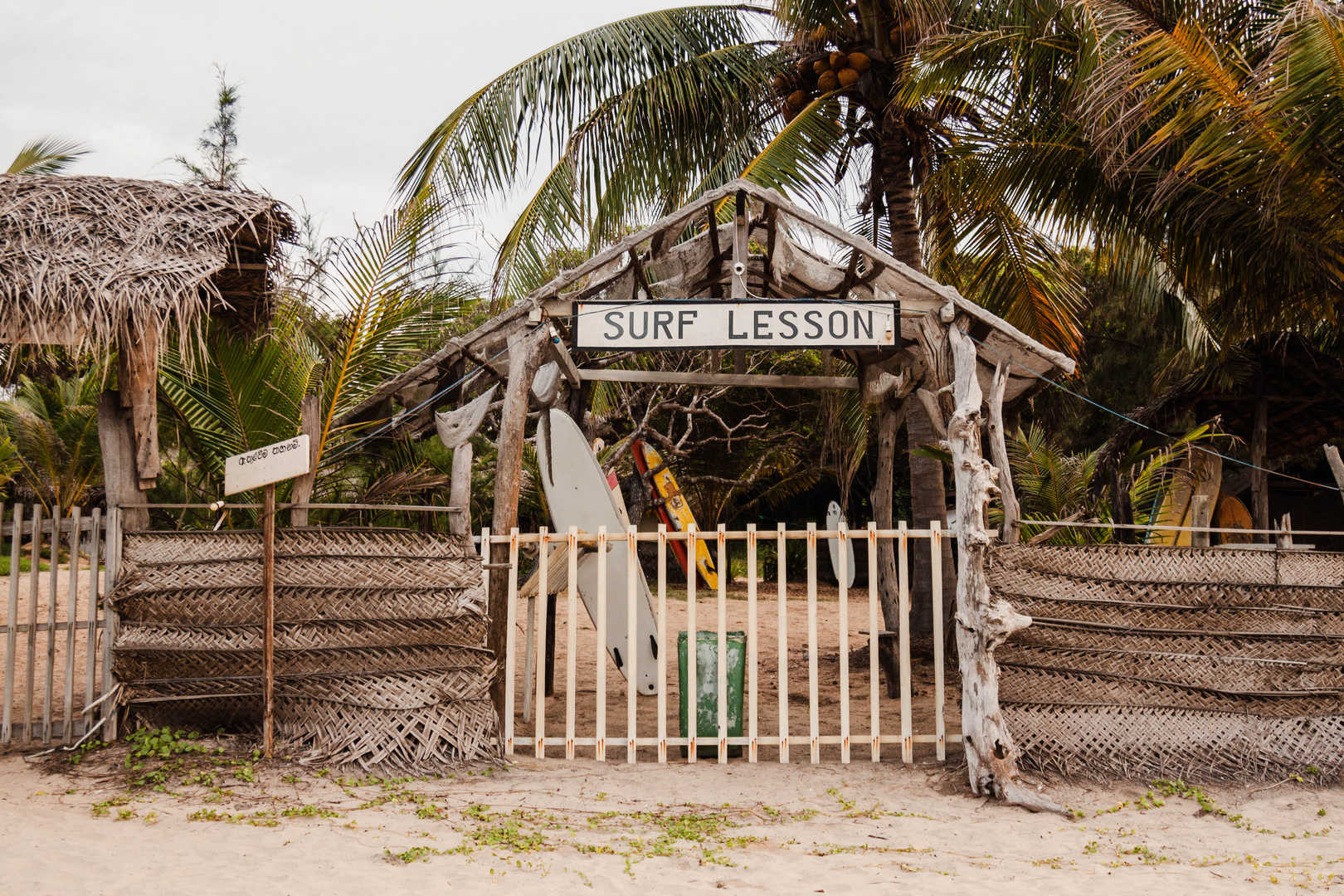 Surf Lesson