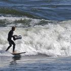 Surf Montréal