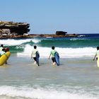 surf on Noosa Beach