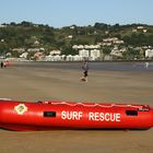 Surf Rescue !