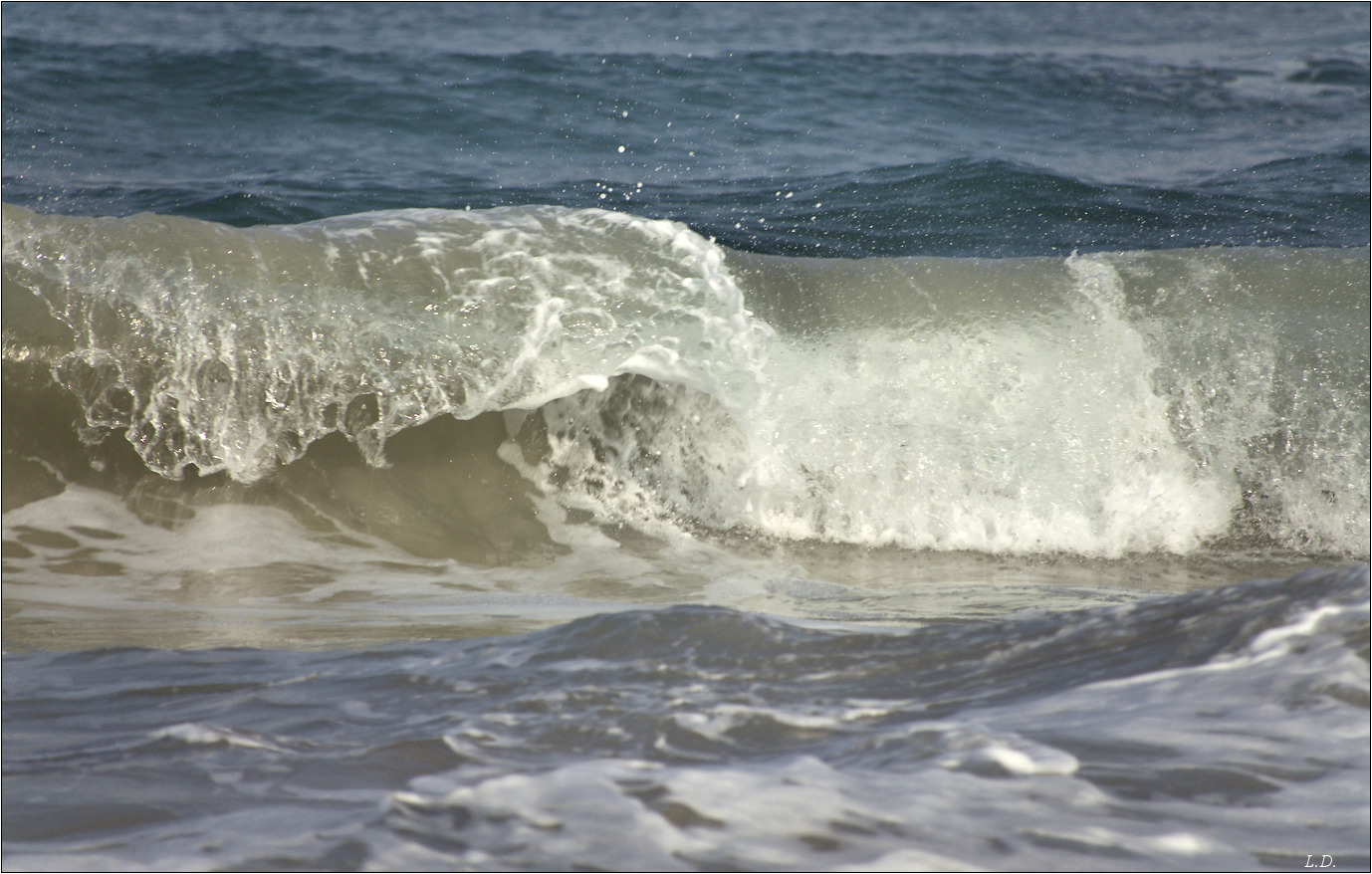 Surf wave-1