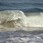 Surf wave-1