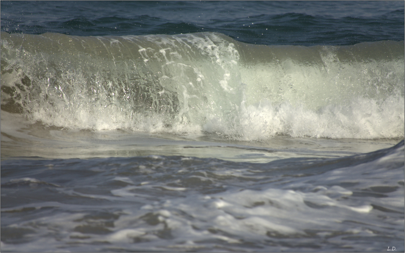 Surf wave-2