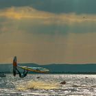 Surf Worldcup Neusiedl am See 2017