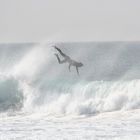 Surfcamp Rapa Nui Fuerteventura