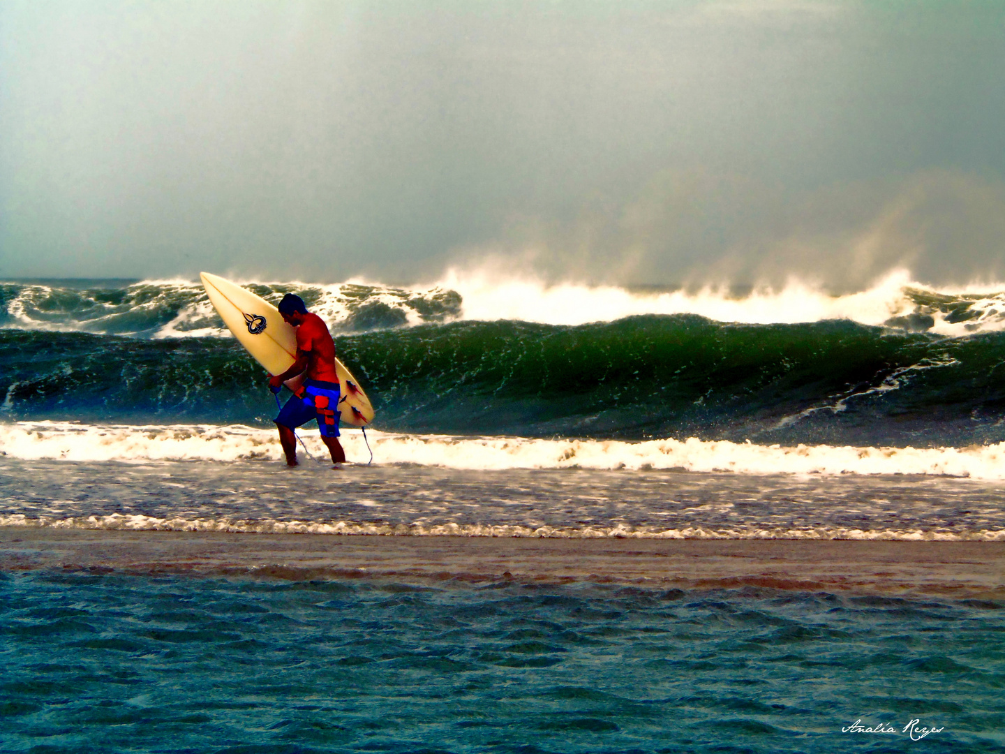 Surfeando la tormenta