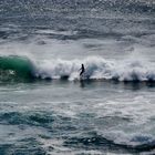 Surfen an der Short Pt Beach [1]