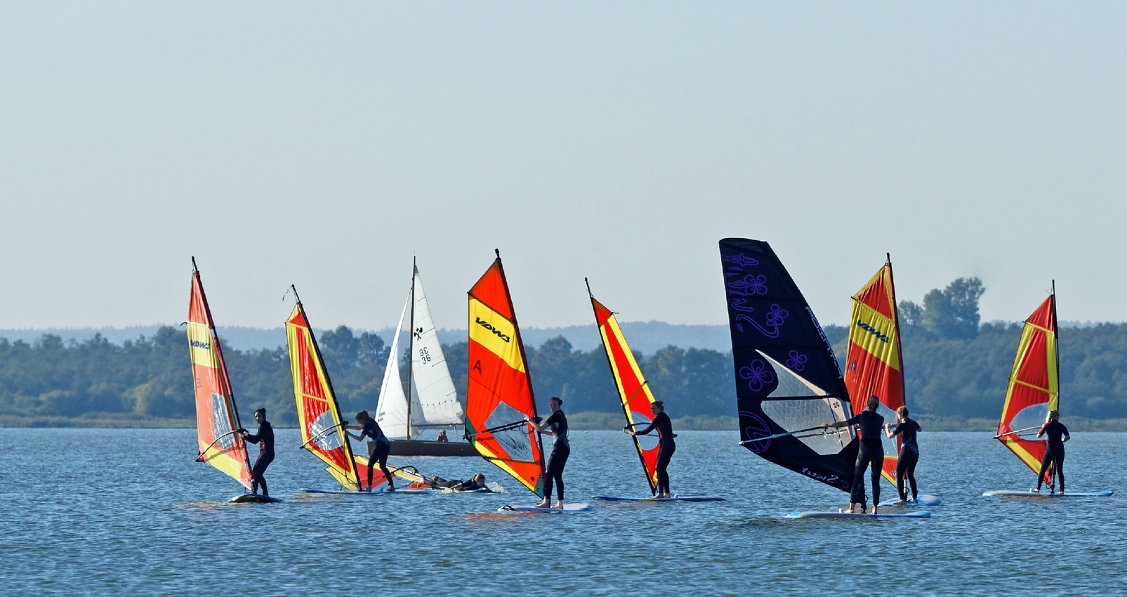 Surfen auf dem Dümmersee