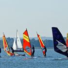 Surfen auf dem Dümmersee