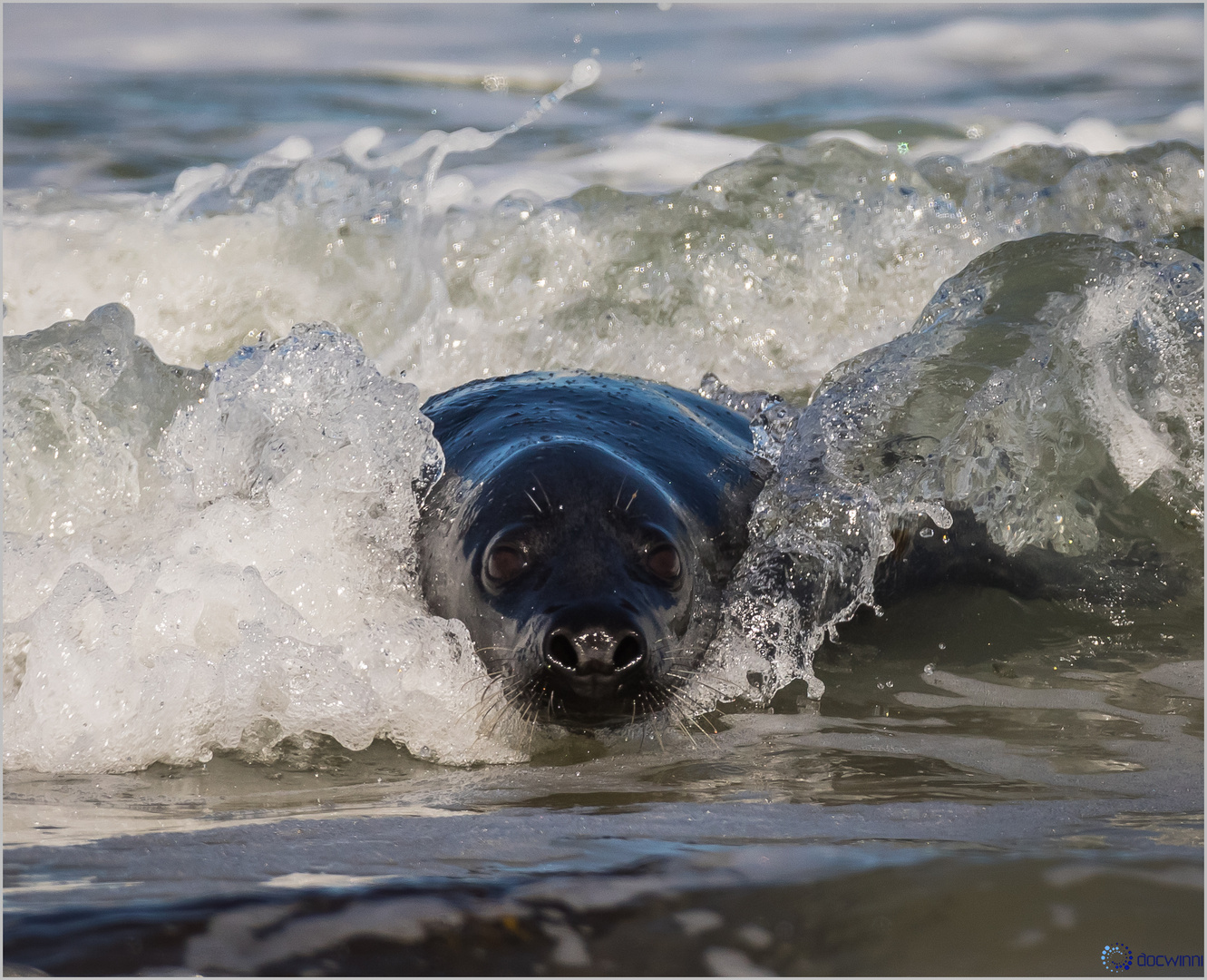 Surfen auf Helgoland