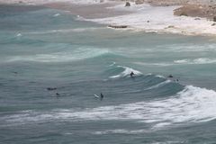 Surfen - Fortaleza de Sagres