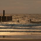 Surfen in der Abendsonne