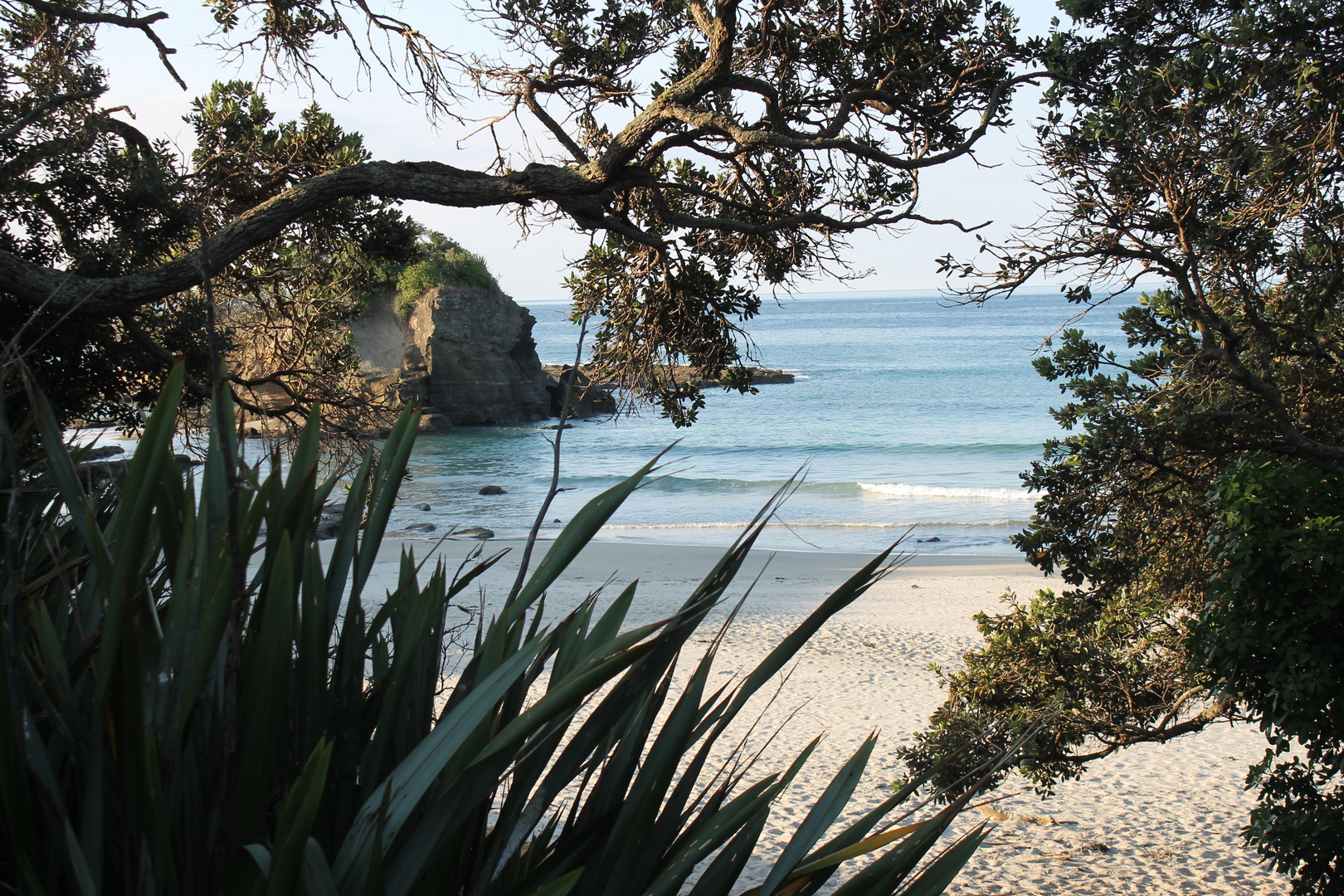 Surfen in Neuseeland