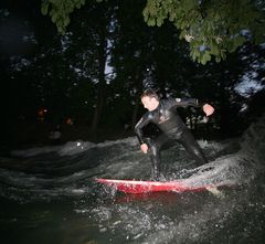 Surfen unter Kastanien