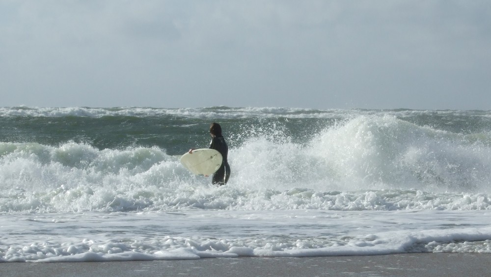 Surfen vor Sylt