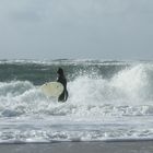 Surfen vor Sylt