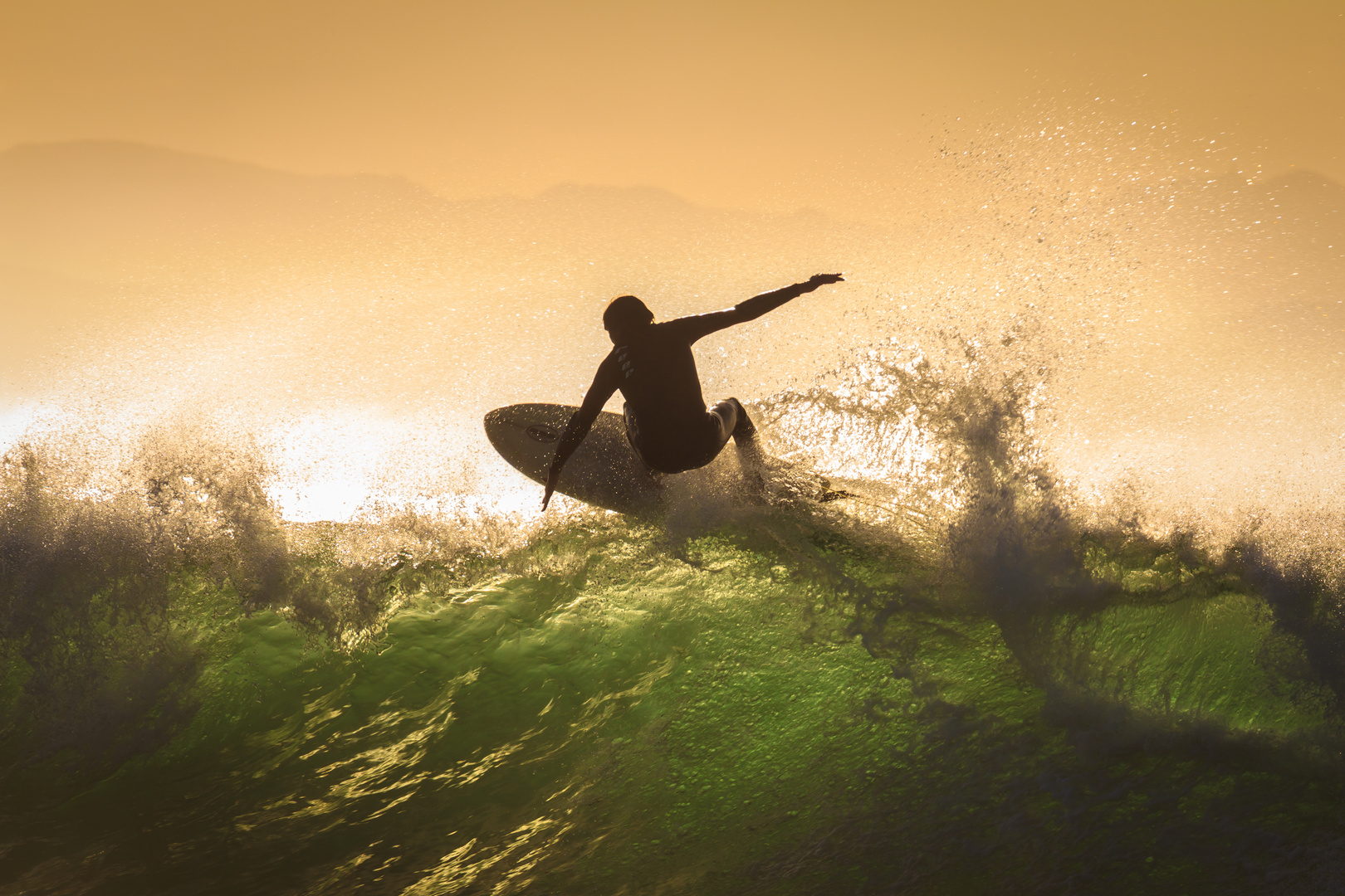 Surfer