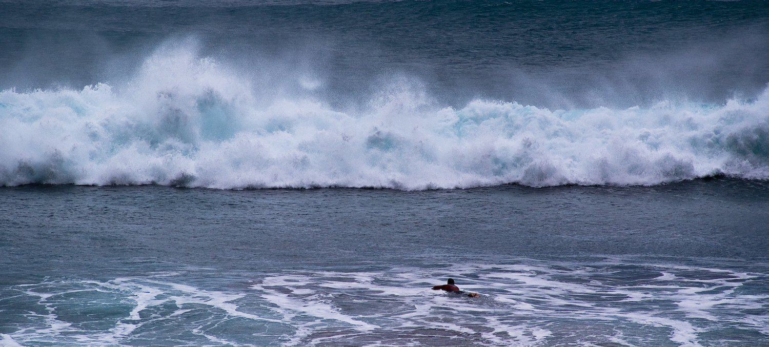 Surfer