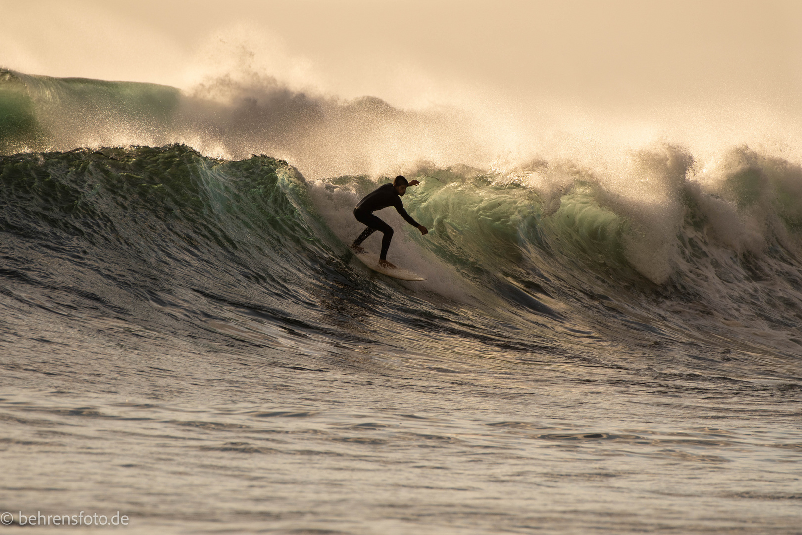 Surfer 