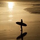 Surfer am goldenen Meer