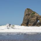 surfer at Castle Point