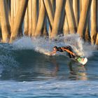 Surfer at Huntington Beach "Surf City"