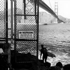 Surfer at the golden gate