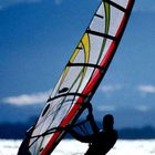 Surfer auf dem Ammersee