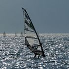 Surfer auf dem Gardasee