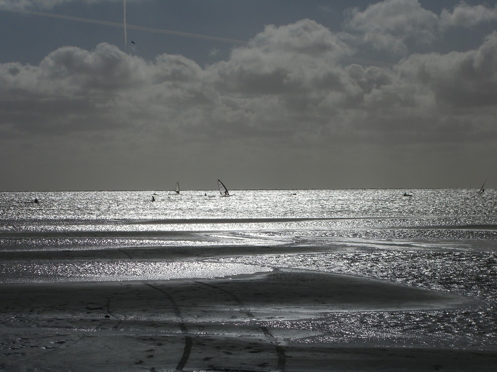 Surfer auf dem Iisselmeer