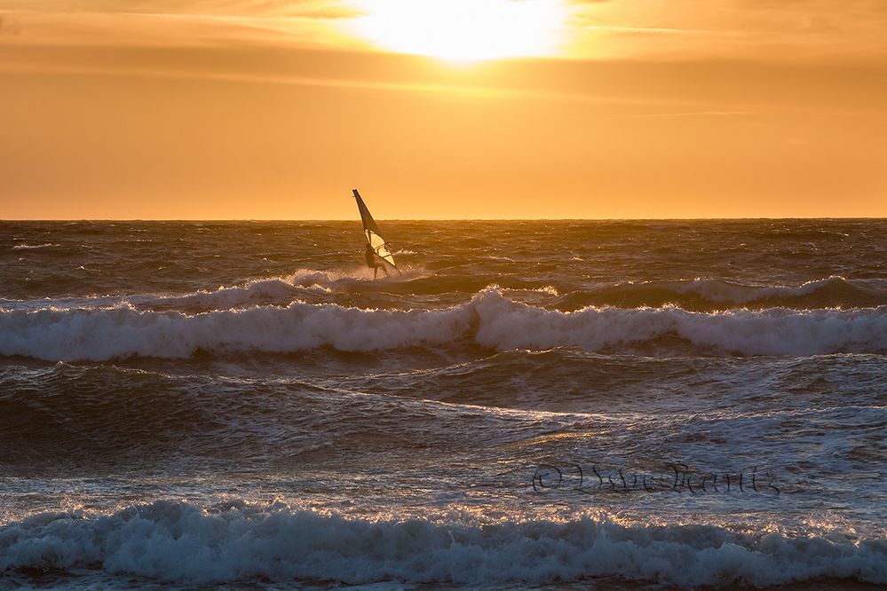 Surfer