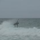 Surfer bei Marconi Beach, Cape Cod 2