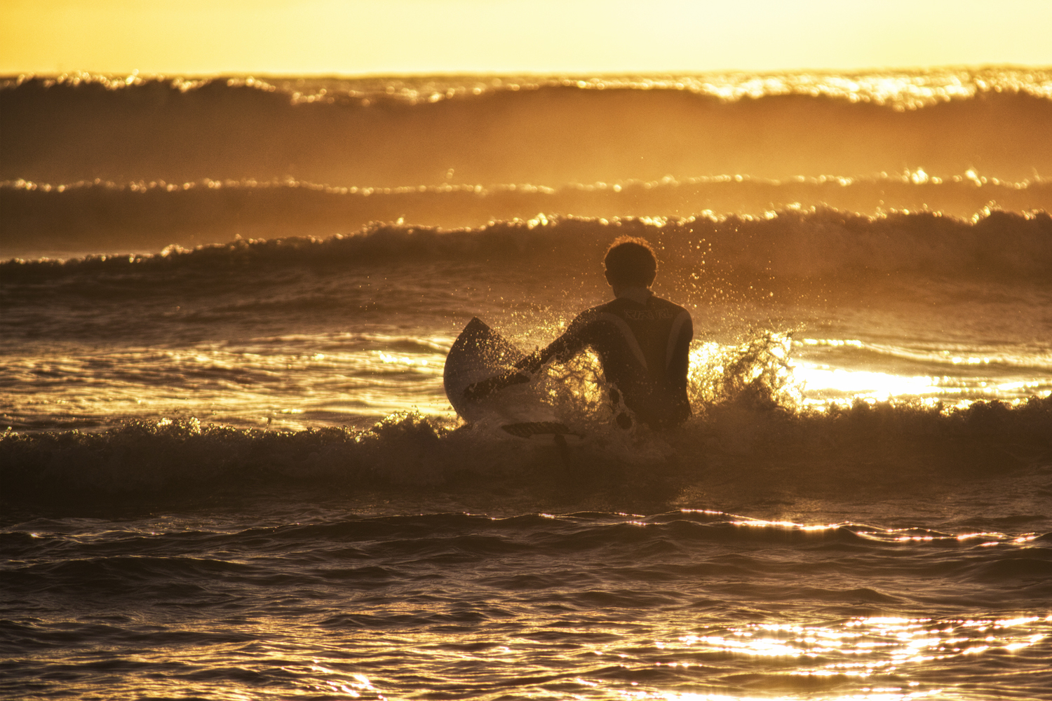 Surfer Dude