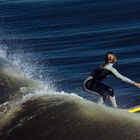 Surfer Girl 