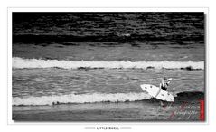 -- Surfer Girl --