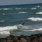 Surfer in Hiddensee