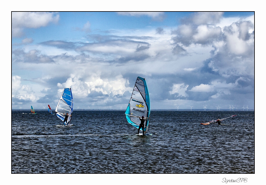 Surfer in Hvide Sande....