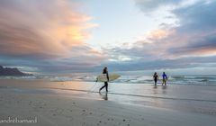 Surfer in the Sunset