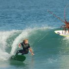 Surfer Langouste