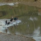 Surfer le Mascaret sur la Garonne