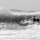 surfer on hawaii