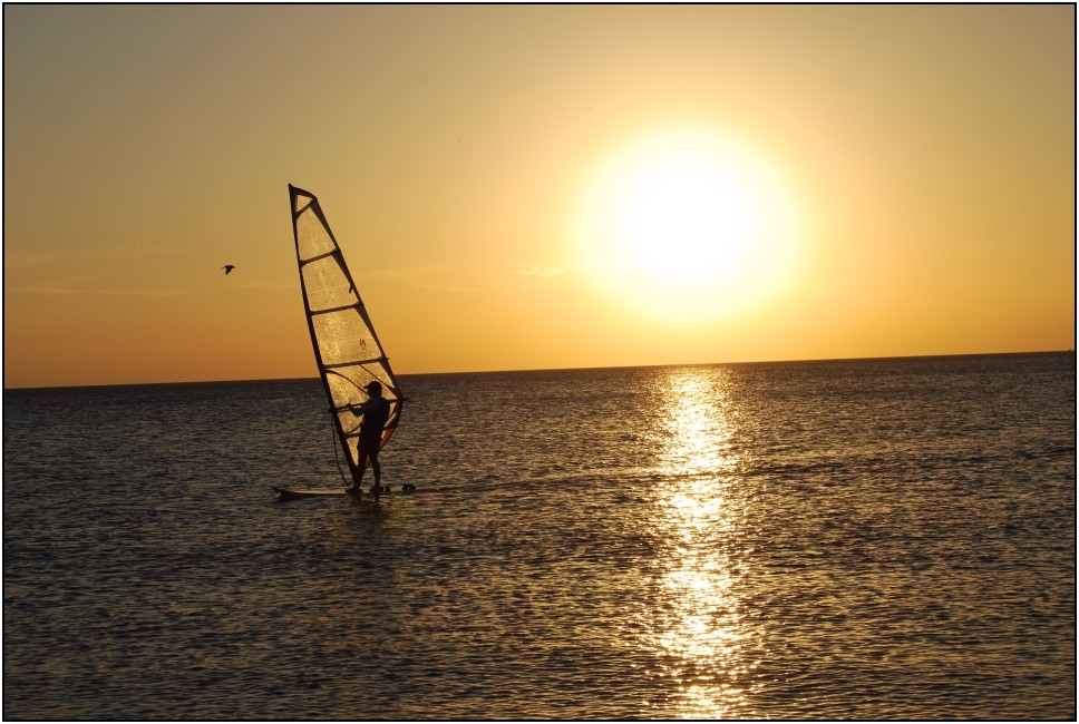 Surfer Sunset