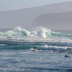 Surfer Tenerife