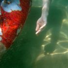 surfer under water