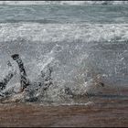 Surfer Unfall ;o)