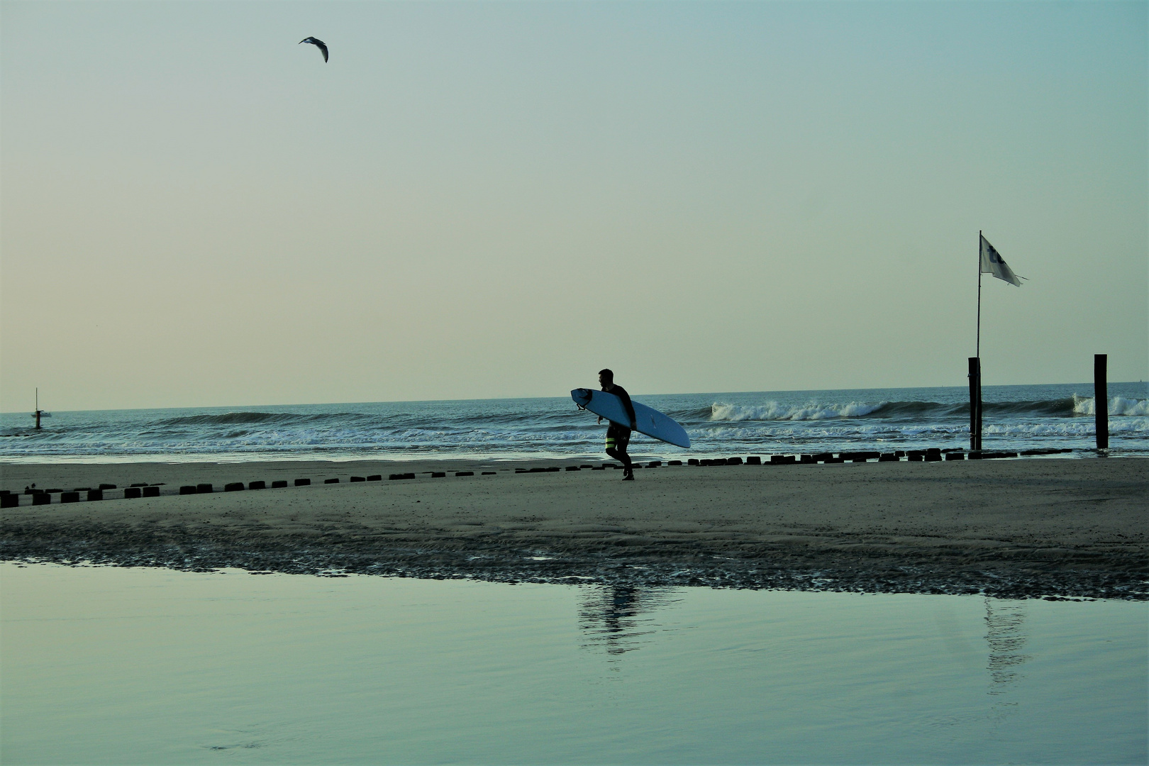 Surferboy